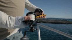 Ascender ™(Ascender) 14 Ascender ™(Ascender) -Accurate Fishing Store AC BOLA ROUGH.01 40 16 18.Still043