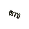 ATD CLICKER KNOB KEEPER SPRING(Accurate Part L 1762) 2 ATD CLICKER KNOB KEEPER SPRING(Accurate Part L 1762) -Accurate Fishing Store L 1762