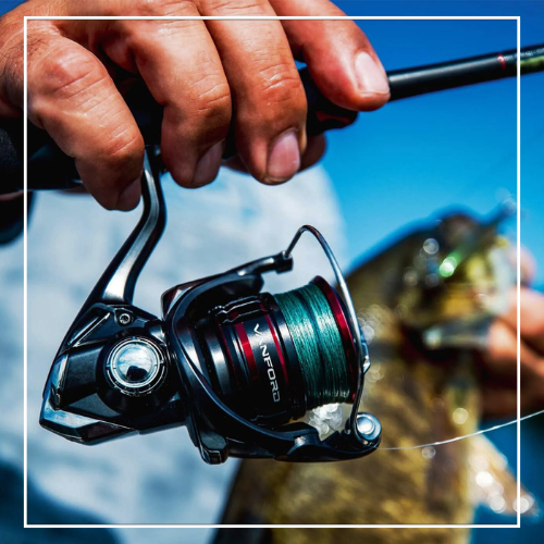 Accurate Fishing Store -Accurate Fishing Store Thiet ke chua co ten 10