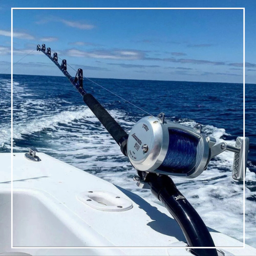 Accurate Fishing Store -Accurate Fishing Store Thiet ke chua co ten 9