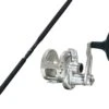 Valiant 500N Plus Fishing Rod And Reel Combo(Valiant 500n Plus Combo) 1 Valiant 500N Plus Fishing Rod And Reel Combo(Valiant 500n Plus Combo) -Accurate Fishing Store bv2 500np combo
