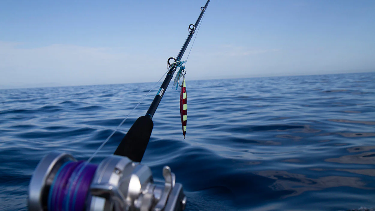 Accurate Fishing Store -Accurate Fishing Store jig on rod 8fda0e19 47f8 480b 8f91